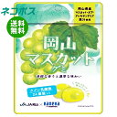 ネコポス カネカ食品 岡山マスカットグミ ラブレ乳酸菌入 40g×10袋入| 全国送料無料 お菓子 グミ 果汁 ジュレ ラブレ乳酸菌 ラブレ 乳酸菌 チャック付き 腸内環境 マスカット