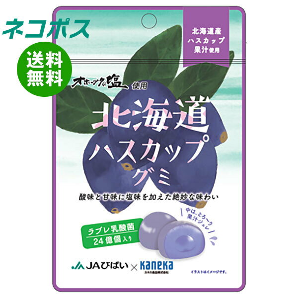 ネコポス カネカ食品 北海道ハスカップグミ ラブレ乳酸菌入 40g×10袋入｜ 全国送料無料 お菓子 グミ 果汁 ジュレ ラブレ乳酸菌 ラブレ 乳酸菌 チャック付き 腸内環境 ハスカップ