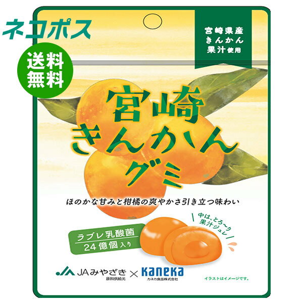 ネコポス カネカ食品 宮崎きんかんグミ ラブレ乳酸菌入 40g×10袋入｜ 全国送料無料 お菓子 グミ 果汁 ジュレ ラブレ乳酸菌 ラブレ 乳酸菌 チャック付き 腸内環境 金柑 キンカン