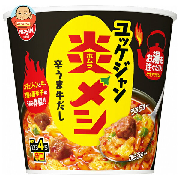 日清食品 日清炎メシ 辛うまユッケジャン 106g×6個入｜ 送料無料 一般食品 インスタント食品