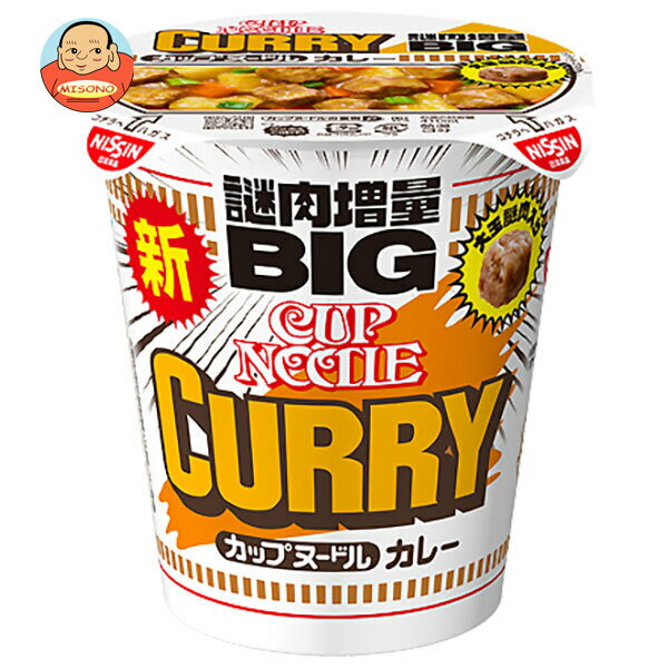 日清食品 カップヌードル カレービッグ 121g×12個入｜ 送料無料 インスタント食品 ラーメン 即席めん カップ麺 BIG
