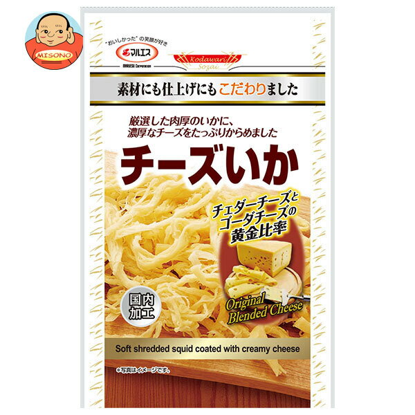 マルエス チーズいか 43g×10袋入×(2ケース)｜ 送料無料 お菓子 珍味・おつまみ あたりめフライ イカ ス..