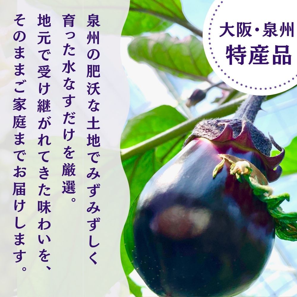 彩茄 水なすキムチ 水茄子 大阪泉州 110g×6袋入 チルド 冷蔵品 メーカー 問屋直送...