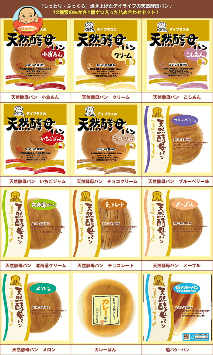 デイプラス 天然酵母パン 12種詰め合わせセット ×12個入｜ 送料無料 D-PLUS 塩バター チョコ あんパン クリームパン ジャム