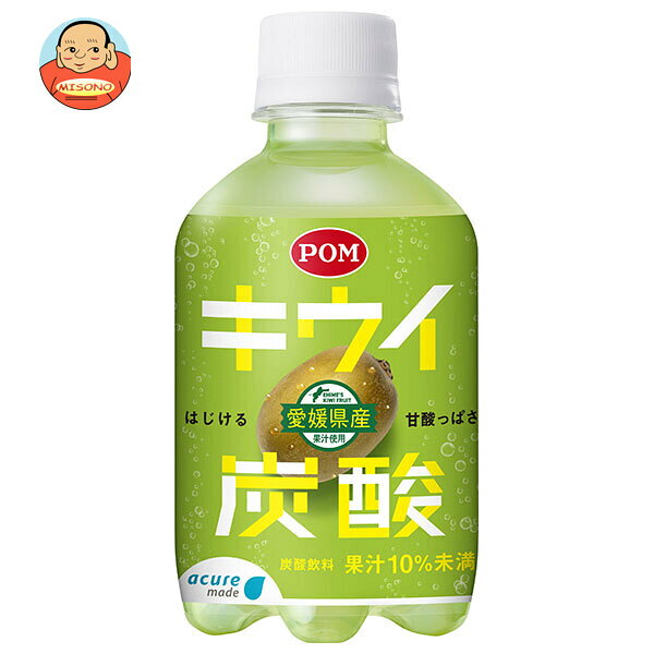 JR東日本 アキュアメイド キウイ 炭酸 280mlペットボトル×24本入×(2ケース)｜ 送料無料 キウイ 炭酸 PET 果汁 ジュース フルーツ