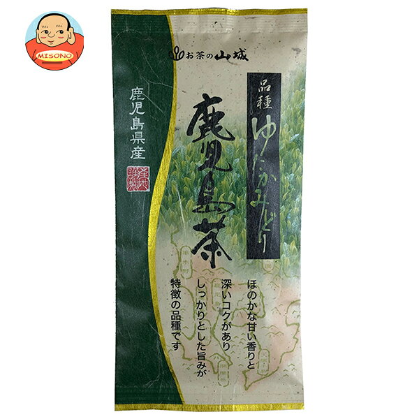 [ポイント5倍！5/16(土)1時59分まで全品対象エントリー&購入]山城物産 鹿児島茶 品種ゆたかみどり 100g×20袋入×(2ケース)｜ 送料無料 嗜好品 茶飲料 茶葉 緑茶 袋