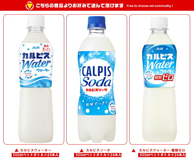飲料 食品専門店 味園サポートのアサヒ飲料 カルピス・カルピスソーダ 選べる2ケースセット 500mlペットボトル×48(24×2)本入｜ 送料無料 カルピス ソーダ 炭酸 ペットボトル｜アングル2