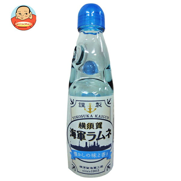 JANコード:4526829001128 原材料 ぶどう糖果糖液糖、香料、酸味料 栄養成分 (200ml当り)エネルギー85kcal、炭水化物21.6g、たんぱく質0g、脂質0g、食塩相当量0.01g 内容 カテゴリ:炭酸飲料、ラムネ、瓶サイズ:170～230(g,ml) 賞味期間 (メーカー製造日より)359日 名称 炭酸飲料 保存方法 直射日光や高温の場所を避けて保存してください。 備考 販売者:株式会社調味商事神奈川県横須賀市小川町26-5 ※当店で取り扱いの商品は様々な用途でご利用いただけます。 御歳暮 御中元 お正月 御年賀 母の日 父の日 残暑御見舞 暑中御見舞 寒中御見舞 陣中御見舞 敬老の日 快気祝い 志 進物 内祝 御祝 結婚式 引き出物 出産御祝 新築御祝 開店御祝 贈答品 贈物 粗品 新年会 忘年会 二次会 展示会 文化祭 夏祭り 祭り 婦人会 こども会 イベント 記念品 景品 御礼 御見舞 御供え クリスマス バレンタインデー ホワイトデー お花見 ひな祭り こどもの日 ギフト プレゼント 新生活 運動会 スポーツ マラソン 受験 パーティー バースデー