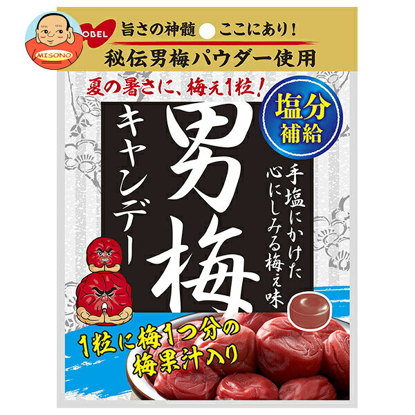 ノーベル製菓 男梅キャンデー 80g×6袋入 送料無料 お菓子 飴 キャンディー 袋 うめ