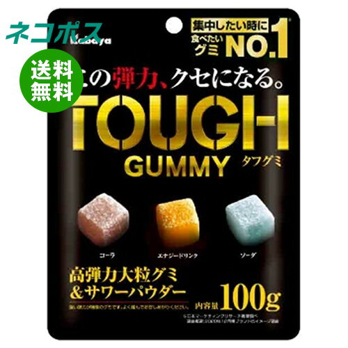 【全国送料無料】【ネコポス】カバヤ タフグミ 100g×6袋入｜ お菓子 グミ 袋 TOUGH 高弾力大粒サワー