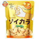 大塚製薬 ソイカラ(SoyCarat) チーズ味 27g×18袋入| 送料無料 お菓子 大豆 食物繊維 イソフラボン