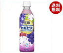【送料無料】【2ケースセット】カルピス 巨峰&カルピス 500mlペットボトル×24本入×(2ケース) ※北海道・沖縄・離島は別途送料が必要。 【送料無料】【2ケースセット】カルピス 巨峰&カルピス 500mlペットボトル×24本入×(2ケース) ※北海道・沖縄・離島は別途送料が必要。