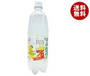送料無料 【2ケースセット】木村飲料 ローヤルサワー おいし...