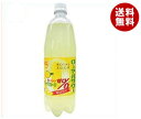 送料無料 【2ケースセット】木村飲料 ローヤルサワー おいし...