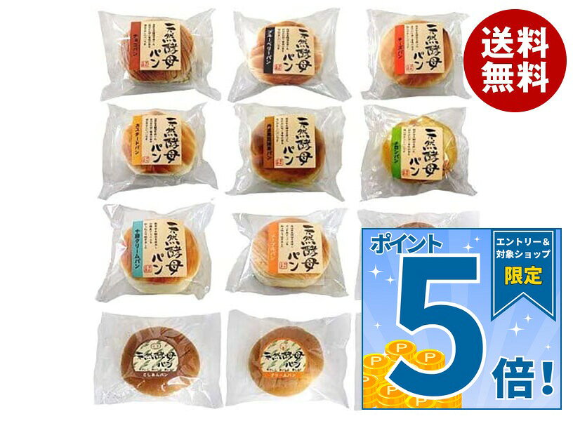 [ポイント5倍！9/19(土)20時〜全品対象エントリー&購入]土筆屋 天然酵母パン 12個セット｜ 送料無料 パン 天然酵母 天然酵母パン 12個セット デニッシュパン チョコ ブルーベリー チーズ カスタード メロンパン クリームパン ジャム