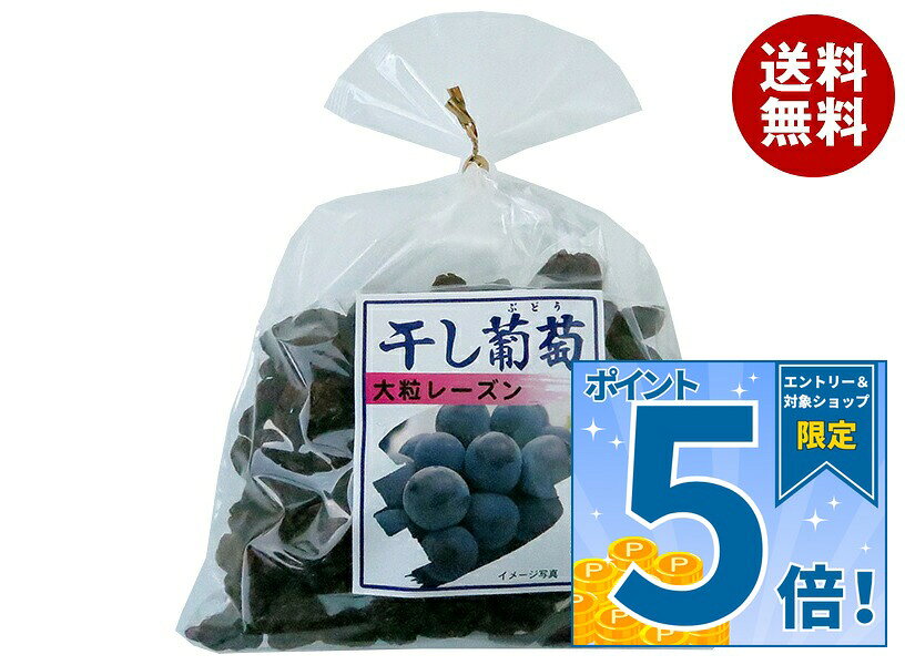 JANコード:4984839200205 原材料 レーズン、植物油 栄養成分 (100gあたり)エネルギー301kcal、たんぱく質2.7g、脂質0.2g、炭水化物80.7g、食塩相当量0、ナトリウム12mg 内容 カテゴリ:お菓子、ドライフルーツ、袋サイズ:370～555(g,ml) 賞味期間 (メーカー製造日より)6ヶ月 名称 乾燥果実 保存方法 直射日光を避け常温で保存 備考 原産国名:チリ又はアメリカ加工者:株式会社ナガトク長野県長野市若穂保科字大道添2942-3 ※当店で取り扱いの商品は様々な用途でご利用いただけます。 御歳暮 御中元 お正月 御年賀 母の日 父の日 残暑御見舞 暑中御見舞 寒中御見舞 陣中御見舞 敬老の日 快気祝い 志 進物 内祝 御祝 結婚式 引き出物 出産御祝 新築御祝 開店御祝 贈答品 贈物 粗品 新年会 忘年会 二次会 展示会 文化祭 夏祭り 祭り 婦人会 こども会 イベント 記念品 景品 御礼 御見舞 御供え クリスマス バレンタインデー ホワイトデー お花見 ひな祭り こどもの日 ギフト プレゼント 新生活 運動会 スポーツ マラソン 受験 パーティー バースデー