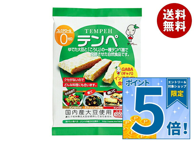 [ポイント5倍！10/17(土)9時59分まで全品対象エントリー&購入]マルシン食品 テンペ 100g×10個入×(2ケース)｜ 送料無料 大豆 だいず テンペ GABA 食物繊維