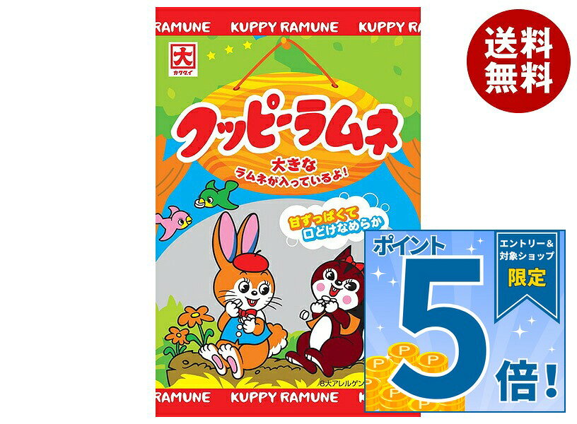 JANコード:4901365150101 原材料 砂糖(国内製造)、砂糖調製品(砂糖、コーンスターチ)、コーンスターチ、ばれいしょでん粉、デキストリン/加工でん粉、酸味料(クエン酸)、香料、アナトー色素、ブドウ果汁色素 栄養成分 (1袋(64g)当たり)エネルギー248kcal、たんぱく質0g、脂質0g、炭水化物61.8g、食塩相当量0.01g 内容 カテゴリ：お菓子、ラムネサイズ：165以下(g,ml) 賞味期間 (メーカー製造日より)330日 名称 ラムネ菓子 保存方法 直射日光、高温多湿をさけて保存してください。 備考 製造者:カクダイ製菓株式会社名古屋市西区名西1-9-38 ※当店で取り扱いの商品は様々な用途でご利用いただけます。 御歳暮 御中元 お正月 御年賀 母の日 父の日 残暑御見舞 暑中御見舞 寒中御見舞 陣中御見舞 敬老の日 快気祝い 志 進物 内祝 御祝 結婚式 引き出物 出産御祝 新築御祝 開店御祝 贈答品 贈物 粗品 新年会 忘年会 二次会 展示会 文化祭 夏祭り 祭り 婦人会 こども会 イベント 記念品 景品 御礼 御見舞 御供え クリスマス バレンタインデー ホワイトデー お花見 ひな祭り こどもの日 ギフト プレゼント 新生活 運動会 スポーツ マラソン 受験 パーティー バースデー