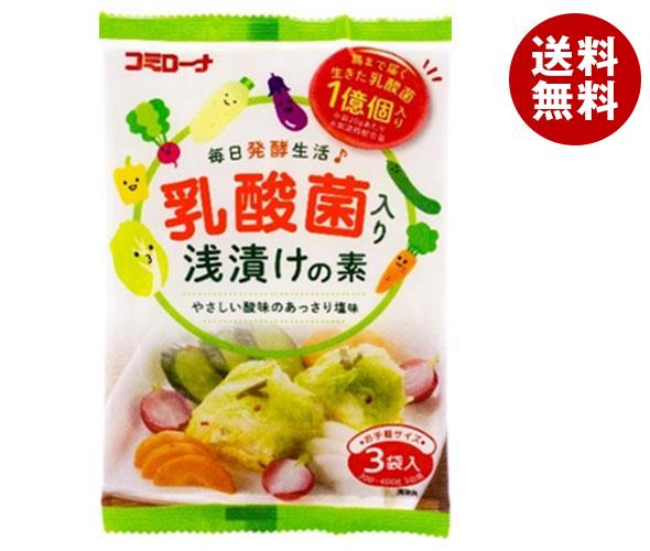 コーセーフーズ 乳酸菌入り 浅漬けの素 60g×10袋入×(2ケース)｜ 送料無料 調味料 一般食品 漬物 素 乳酸菌