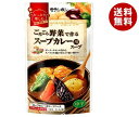 モランボン ごろごろ野菜で作る スープカレー用スープ 750g×10袋入×(2ケース)| 送料無料 調味料 カレー やさい 中辛 ストレート