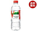 Vittel （ヴィッテル） 500mlペットボトル×24本入｜ 送料無料 ネラルウォーター 500ml 24本 水 天然水 ヴィッテル