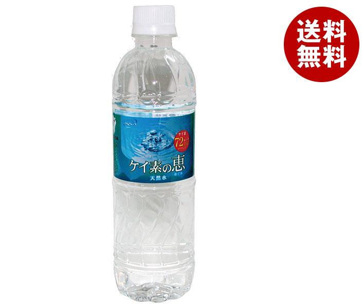 ケイ素の恵 525mlペットボトル×24本入×(2ケース)｜ 送料無料 天然水 ミネラルウォーター 水 PET 国内名水 鉱水