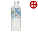 ゴールドパック スポーツウォーター 555mlペットボトル×24本入×(2ケース)| 送料無料 スポーツ PET 安曇野水仕立て SPORTS WATER