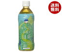 ゴールドパック 北アルプス茶屋の緑茶 500mlペットボトル×24本入×(2ケース)| 送料無料 緑茶 茶飲料