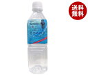 天然シリカ水 さひめの泉 500mlペットボトル×24本入×(2ケース)| 送料無料 ミネラルウォーター 水 PET 鉱水 軟水