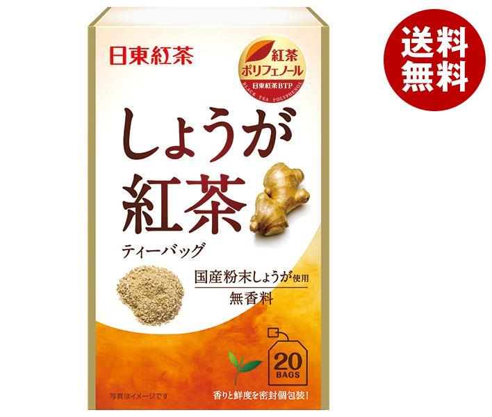 【12月26日(火)1時59分まで全品対象エントリー&購入でポイント5倍】三井農林 日東紅茶 しょうが紅茶 2.2g×20袋×48袋入｜ 送料無料 紅茶 生姜のサムネイル