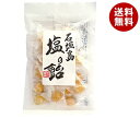 井関食品 石垣島 塩の飴 100g×10袋入 メーカー 問屋直送| 送料無料 菓子 飴 塩飴 キャンディ
