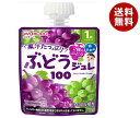 和光堂 1歳からのMYジュレドリンク ぶどう100 70gパウチ×24(6×4)本入×(2ケース)| 送料無料 フルーツ ゼリー飲料 幼児用飲料 ベビー用品