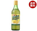 ジーエスフード GS 100%レモン 500ml瓶×12本入×(2ケース)| 送料無料 果汁飲料 レモン 希釈用 料理用 飲料用