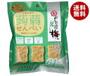 中野物産 こんにゃくせんべい おしゃぶり昆布梅味 15g×8袋入×(2ケース)| 送料無料 お菓子 駄菓子 おつまみ 蒟蒻