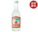 友桝飲料 信州りんごサイダー 245ml瓶×24本入×(2ケース)| 送料無料 サイダー りんご アップル 炭酸 スパークリング