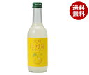 友桝飲料 日向夏サイダー 245ml瓶×24本入×(2ケース)| 送料無料 サイダー ソーダ 炭酸 スパークリング みかん 果汁