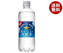 ポッカサッポロ おいしい炭酸水 600mlペットボトル×24本入×(2ケース)｜ 送料無料 スパークリング ウォーター 炭酸 ソーダ 割り材 純水 水