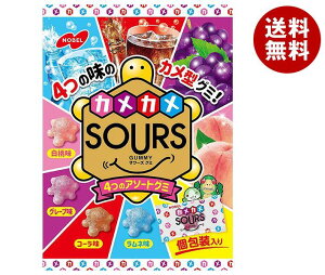 ノーベル製菓 サワーズ(SOURS)アソートグミ 90g×6袋入×(2ケース)｜ 送料無料 グミ 弾力ハードグミ おやつ SOURS