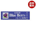 ロッテ 歯につきにくい ブルーベリーガム 9枚×15個入×(2ケース)| 送料無料 菓子 板ガム ブルーベリー