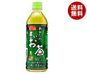 サンガリア あなたの濃いお茶 500mlペットボトル 24本入｜ 送料無料 お茶 ペットボトル 緑茶 茶