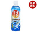 チェリオ 日本のサイダー 500mlペットボトル×24本入×(2ケース)| 送料無料 炭酸飲料 サイダー PET
