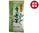 山城物産 宇治茶一番摘み 80g×10袋入×(2ケース)| 送料無料 嗜好品 茶飲料 茶葉 緑茶 袋