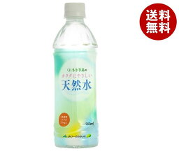 JAフーズ大分 くにさき半島のカラダにやさしい天然水 500mlペットポトル×24本入×(2ケース)｜ 送料無料 水 ウォーター PET ペットボトル 天然水