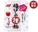 あめ・キャンディ ノーベル製菓 梅ぼしの種飴 30g×6袋入｜ 送料無料 お菓子 あめ キャンディー 袋 うめ