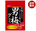 ノーベル製菓 男梅グミ 38g×6袋入×(2ケース)｜ 送料無料 うめ 駄菓子 お菓子 ぐみ