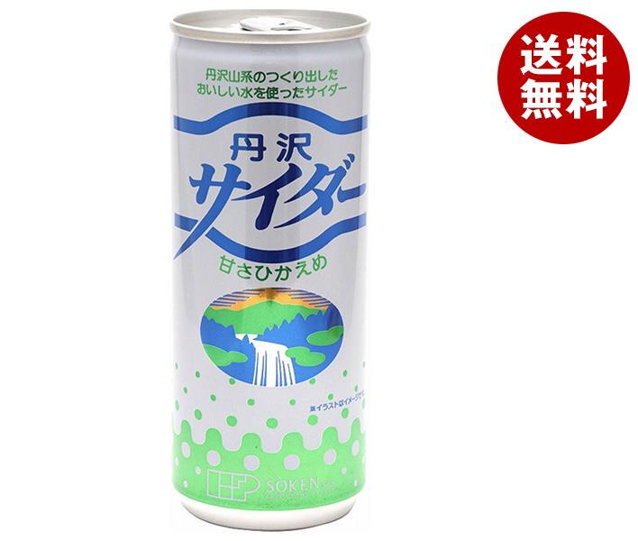 創健社 丹沢サイダー 250ml缶×30本入｜ 送料無料 炭酸飲料 サイダー 缶のサムネイル