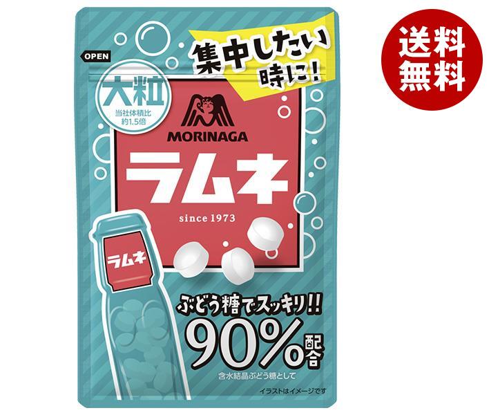 森永製菓 大粒ラムネ 41g×10袋入｜ 送料無料 お菓子 ラムネ 袋の商品画像