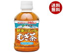 伊藤園 健康ミネラルむぎ茶 280mlペットボトル×24本入×(2ケース)| 送料無料 茶飲料 麦茶 PET