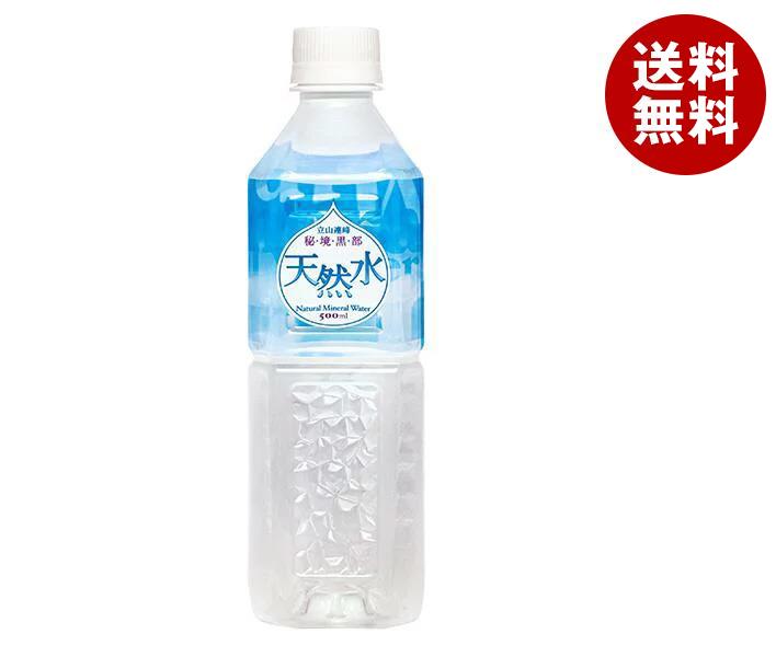 日本薬剤 秘境黒部 天然水 500mlペットボトル×24本入