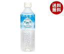 日本薬剤 秘境黒部 天然水 500mlペットボトル×24本入×(2ケース)| 送料無料 国内名水 軟水 水 ミネラルウォーター PET